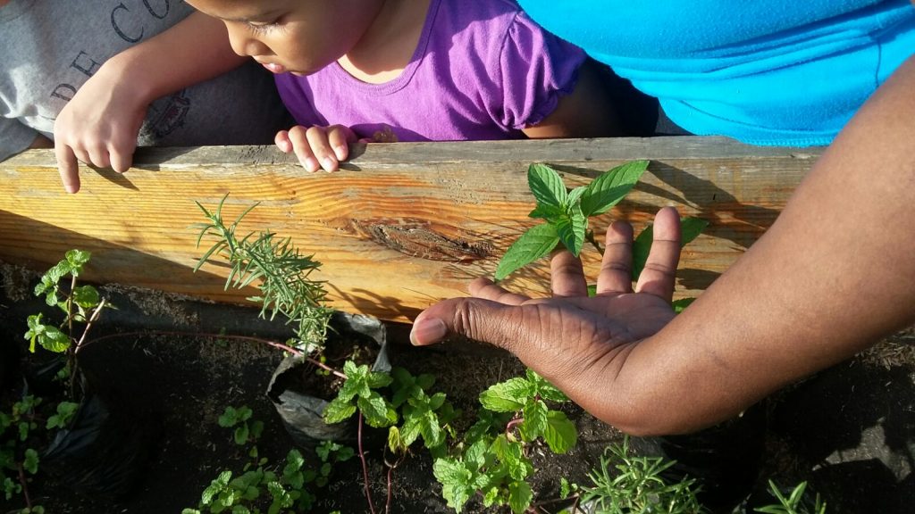Inicio de visitas guiadas en el techo urbano en azotea de la Fundación