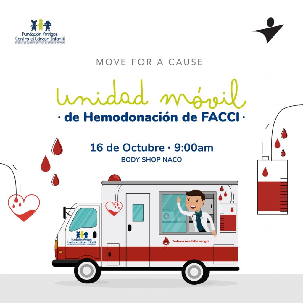 Operativo Hermanos de Sangre en Body Shop Naco a favor de FACCI