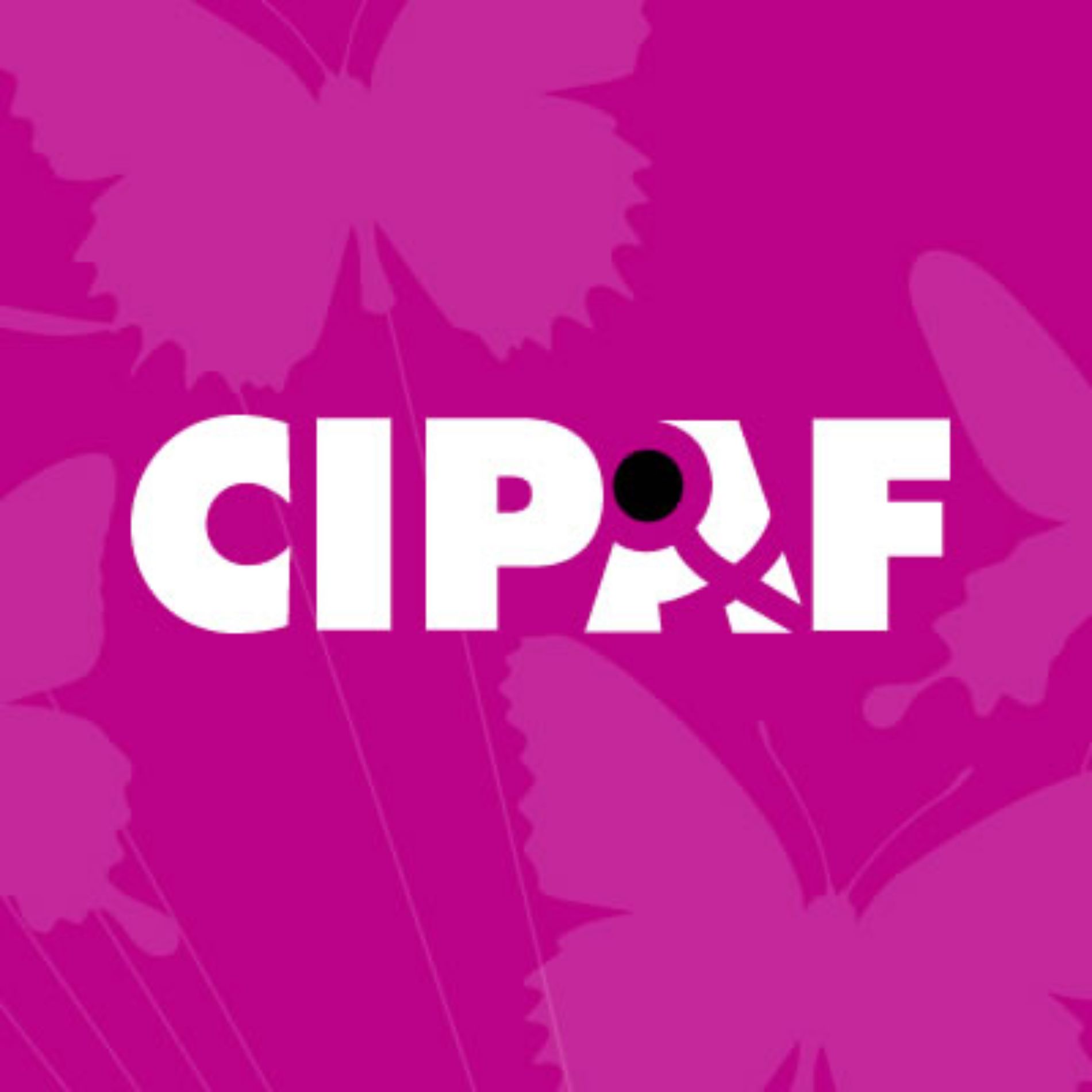 Centro de Investigación para la Acción Femenina - CIPAF ...